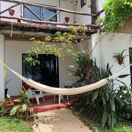 Casa Caribe カンクン エクステリア 写真 Hammock in Tulum, Mexico