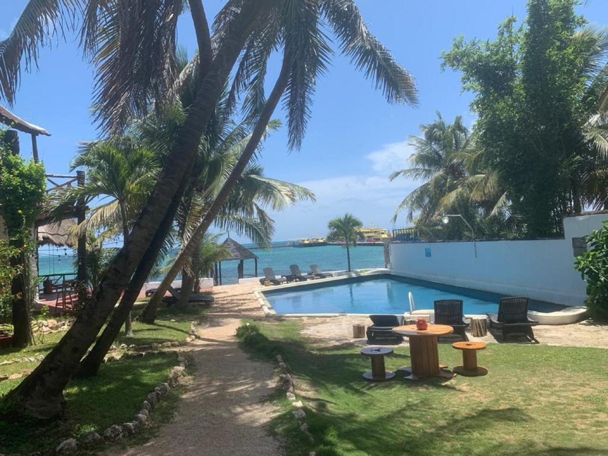 Casa Caribe カンクン エクステリア 写真 View of the beach at the resort