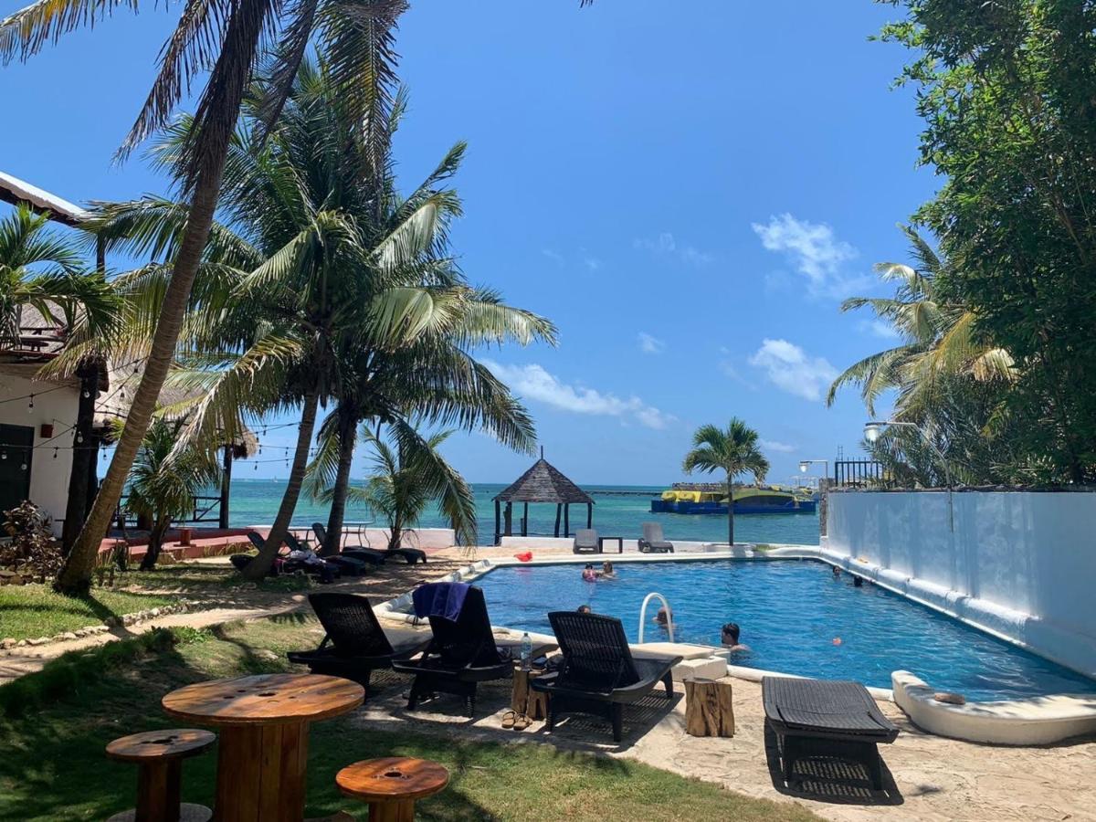 Casa Caribe カンクン エクステリア 写真 The beach at the resort
