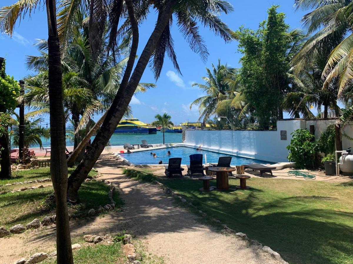 Casa Caribe カンクン エクステリア 写真 The beach at the resort