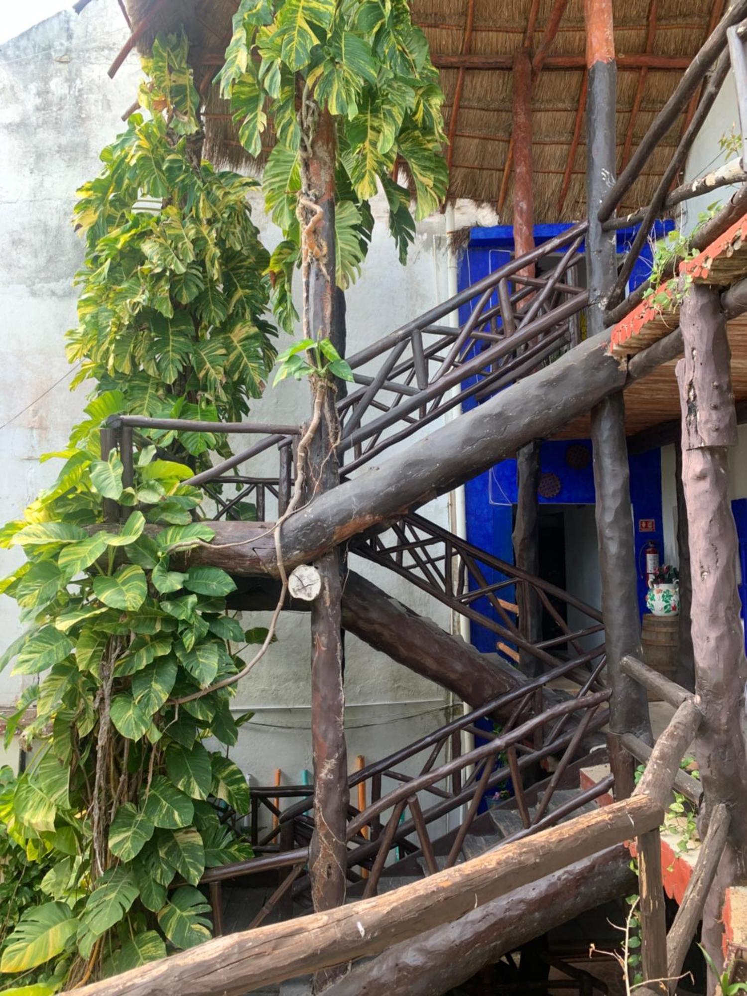Casa Caribe カンクン エクステリア 写真 Bamboo staircase