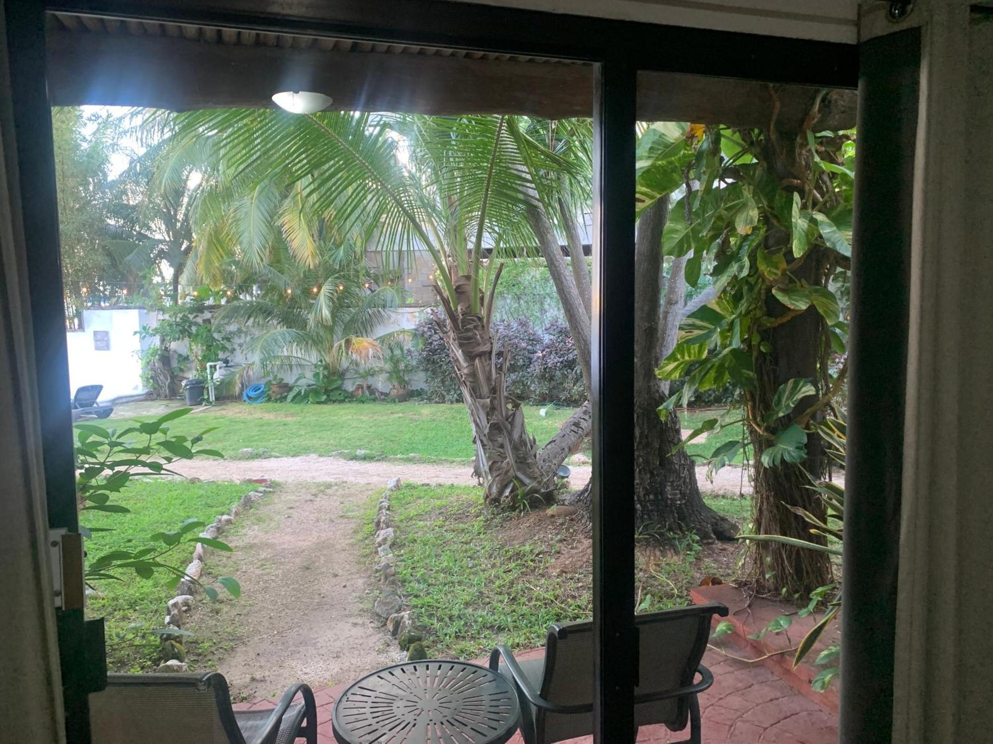 Casa Caribe カンクン エクステリア 写真 View of the garden from the living room